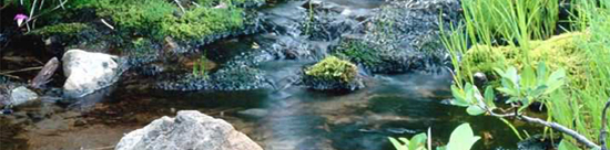 Stream flowing